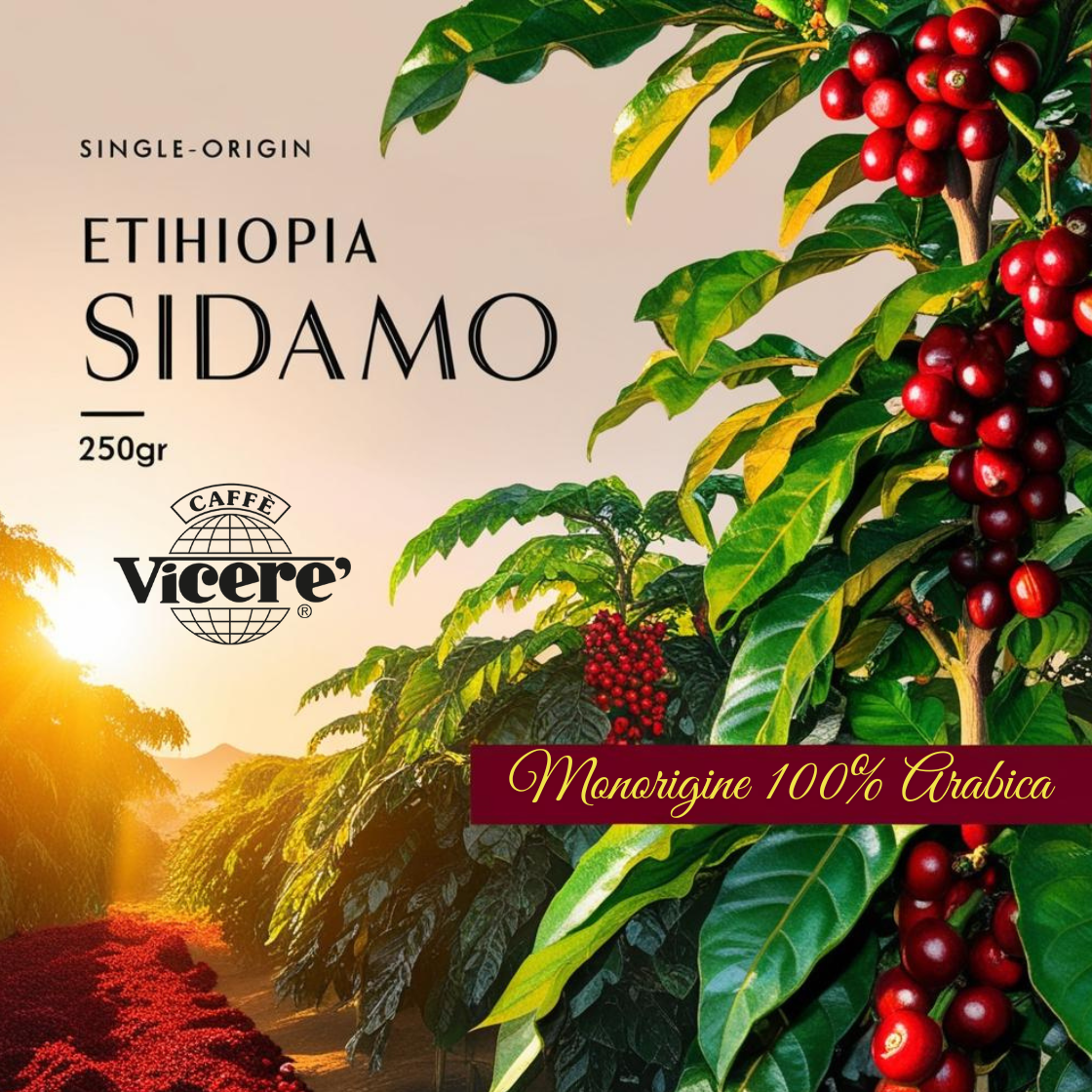 Monorigine Sidamo 250gr. - Caffè Vicerè